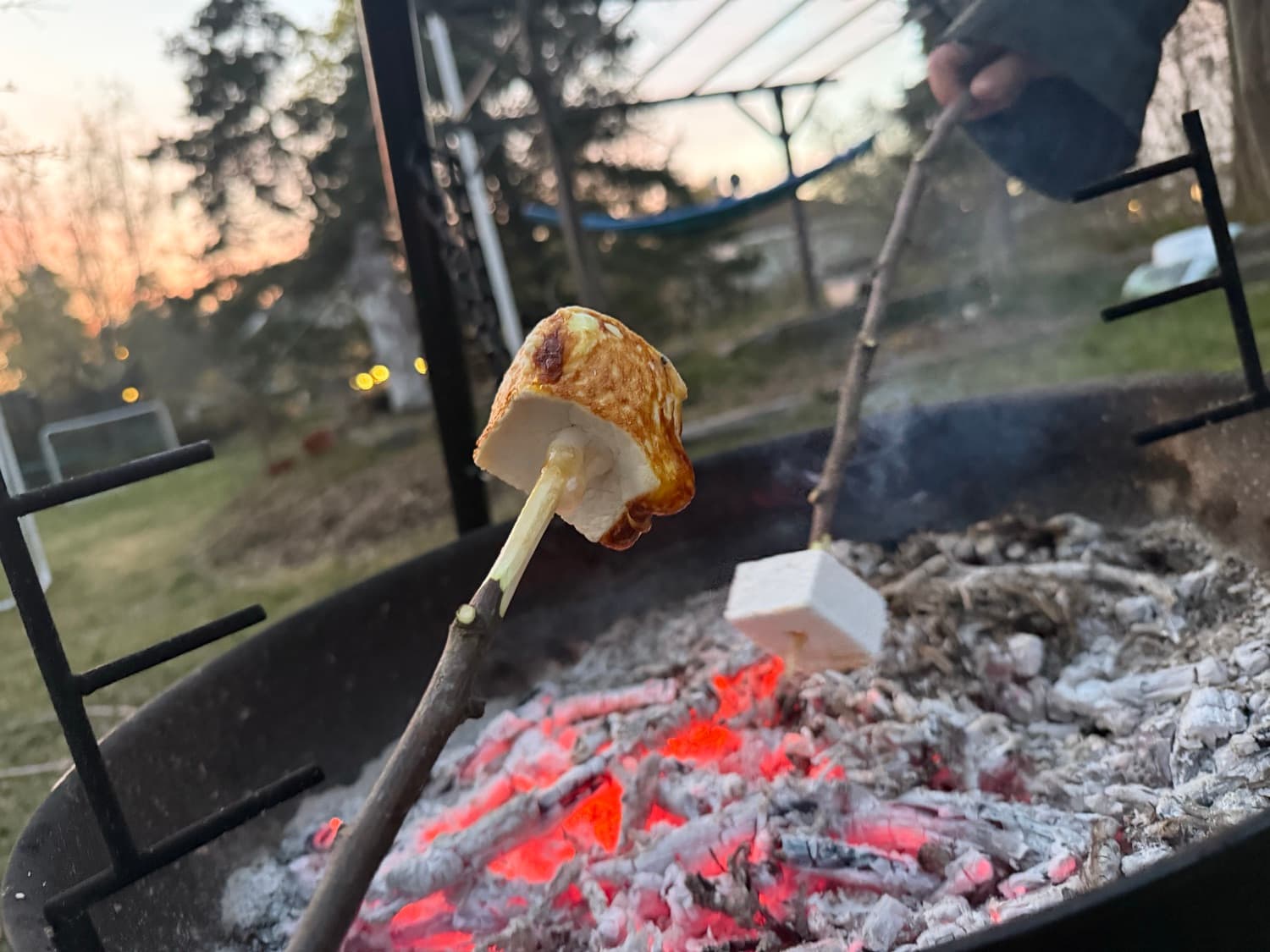 Gyllenbrun marshmallow rostas över glöden